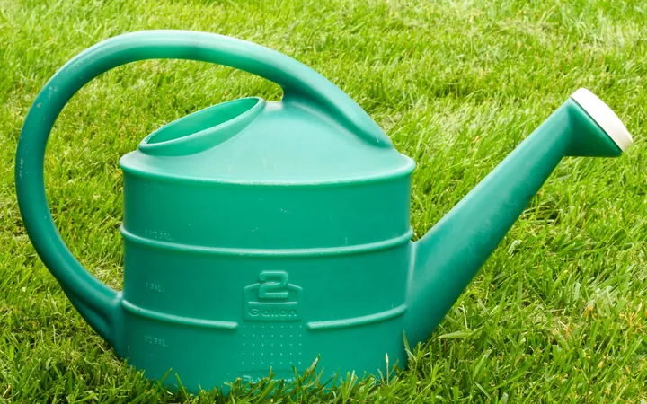 A green watering can on a lawn
